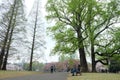 Relax at Shinjuku Gyoen